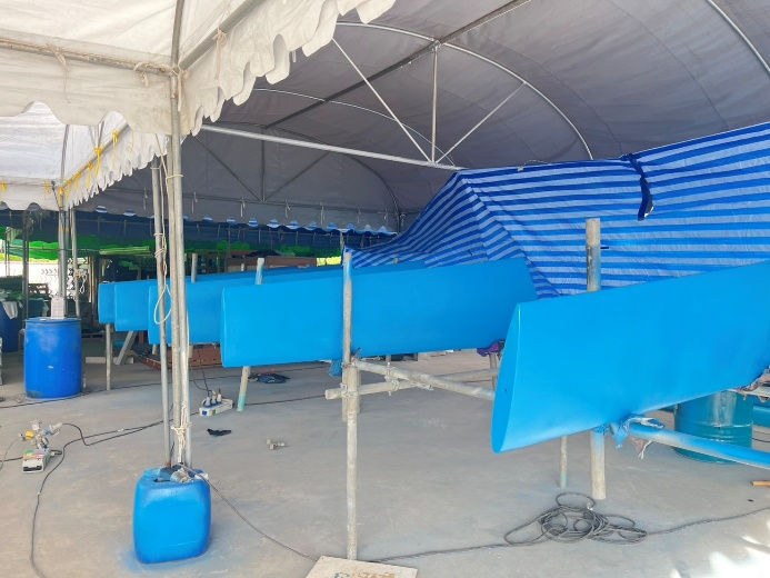 Completed blue-coated FRP cooling tower fan blades for the Nakhon Ratchasima site